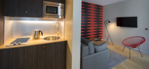 suite 1 chambre delux cuisine champs élysées